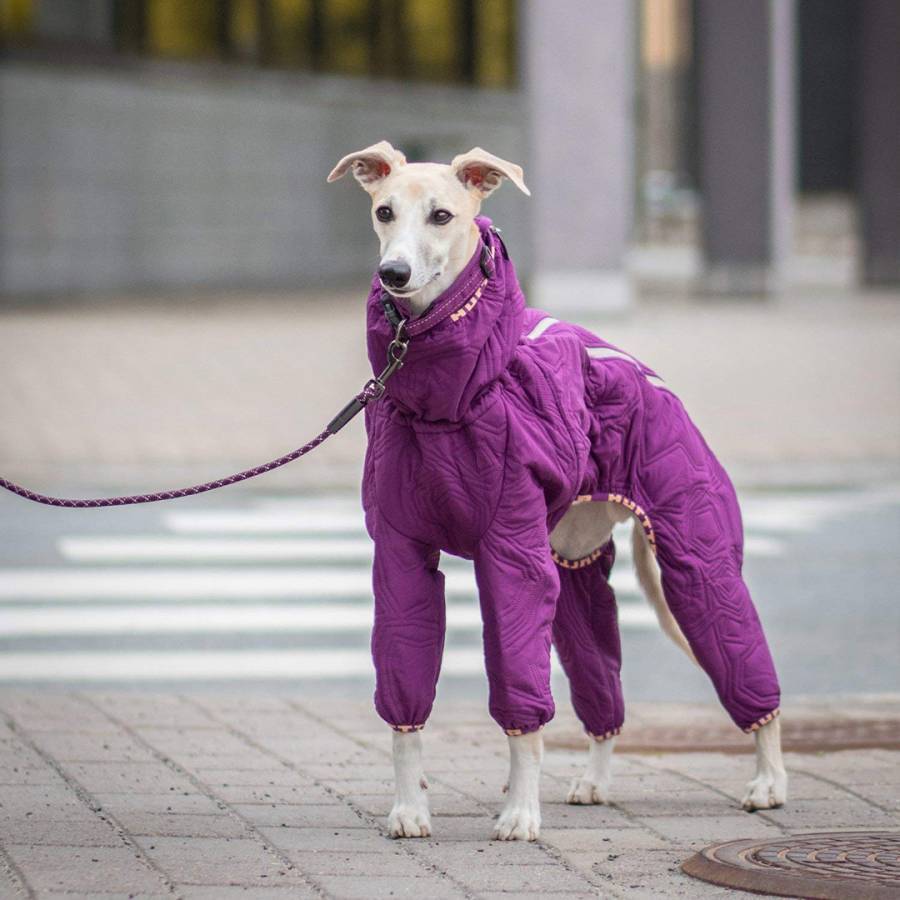 HURTTA CASUAL QUILTED OVERALL ∣ agár kutyakabát-ruházat-Urban Fauna