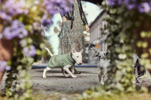 HURTTA RAZZLE-DAZZLE MIDLAYER - Urban Fauna