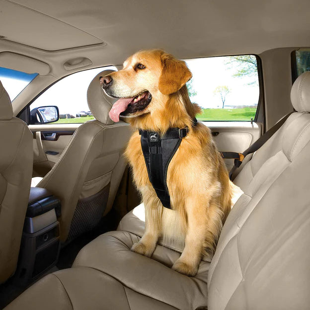 KURGO TRU-FIT ∣ biztonsági autós kutyahám