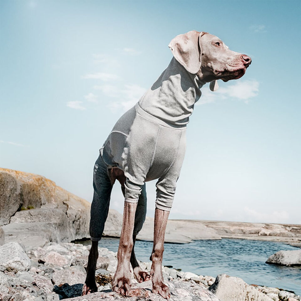HURTTA BODY WARMER ∣ melegítő kutyaoverál-ruházat-Urban Fauna
