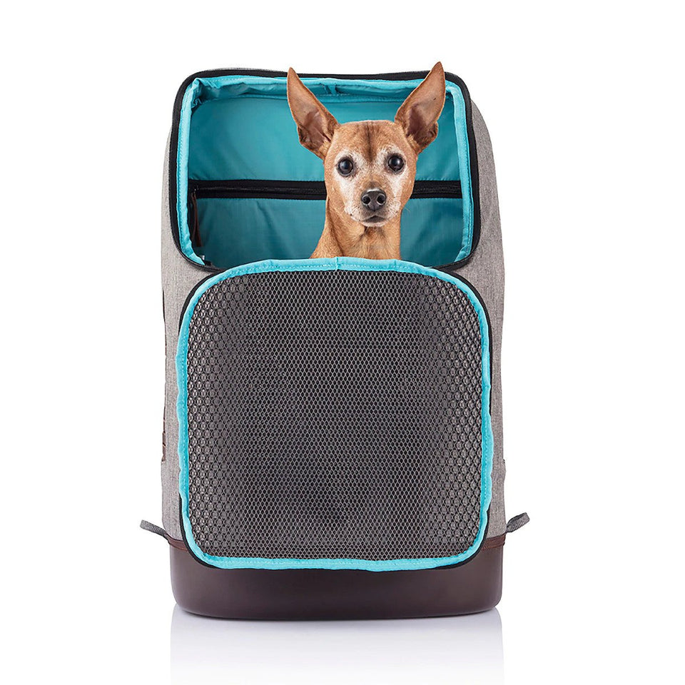 KURGO K9 Rucksack ∣ 2-in-1 kutyahordozó és hátizsák-hátizsák-Urban Fauna