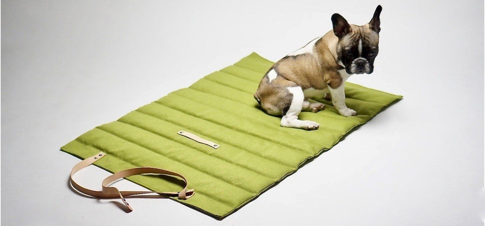 FOSSER ∣ kutyafekhely utazáshoz-fekhely-Urban Fauna