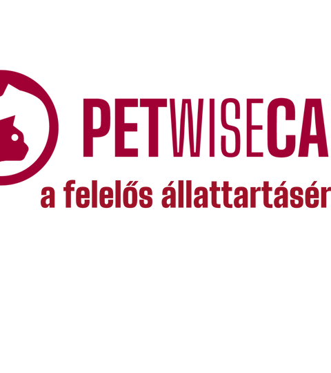 Együttműködés a Petwisecare csapatával