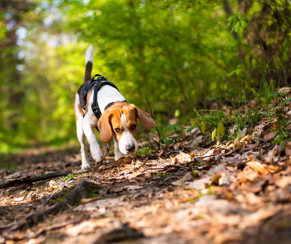 A legjobb outdoor termékek
