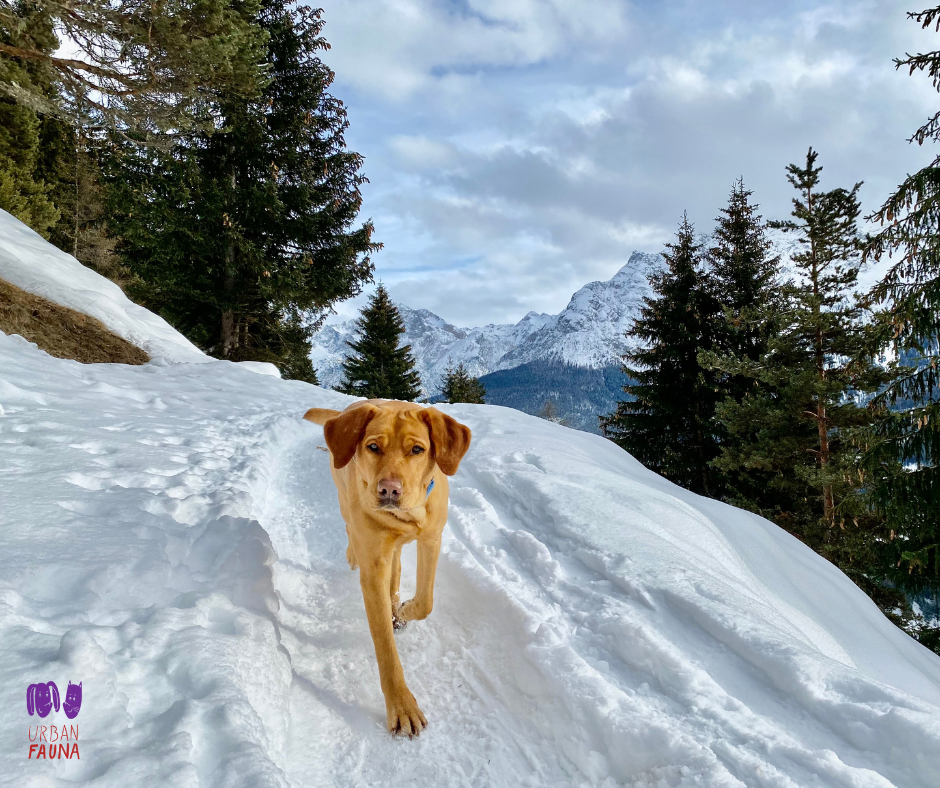 A legjobb outdoor termékek