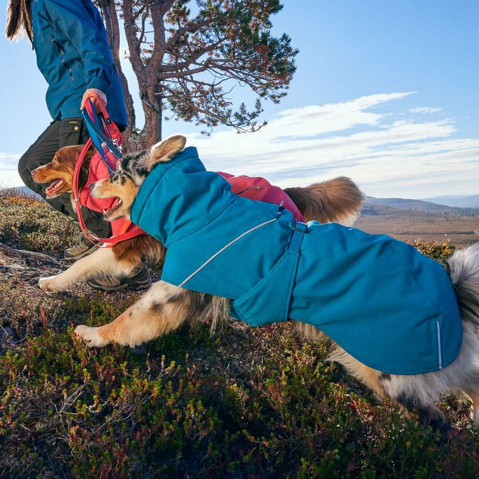 EXPEDITION PARKA 2 -kutyakabát
Meleg, vízálló, újrahasznosított anyagból készült télikabát kutyáknak
