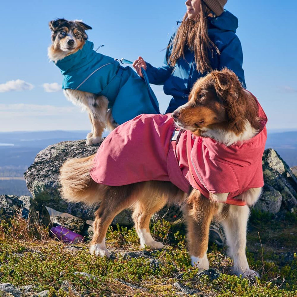 EXPEDITION PARKA 2 -kutyakabát
Meleg, vízálló, újrahasznosított anyagból készült télikabát kutyáknak