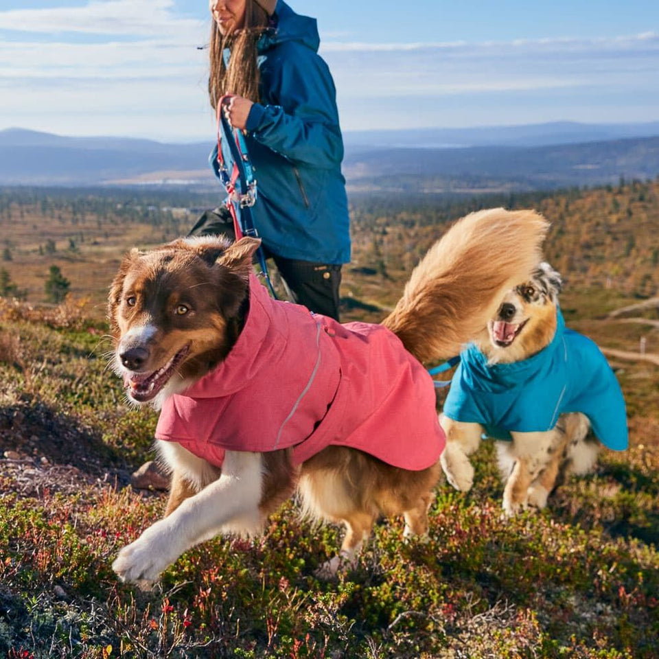 EXPEDITION PARKA 2 -kutyakabát
Meleg, vízálló, újrahasznosított anyagból készült télikabát kutyáknak