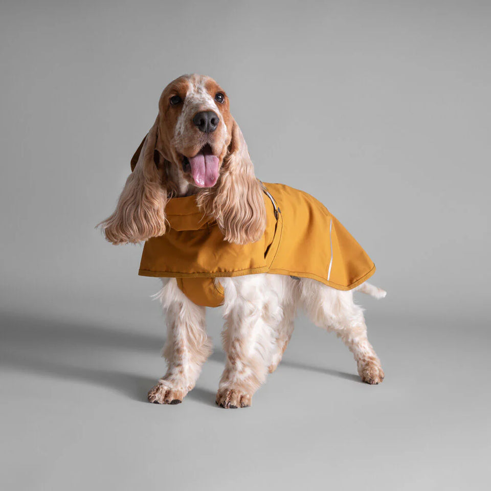 HURTTA MUDVENTURE COAT ECO - Kutya esőkabát
Könnyű, könnyen csomagolható– ez a praktikus, védelmet nyújtó kutyakabát ideális utazásokhoz, valamint szeles, esős vagy saras körülményekhez. 🌦️🐾