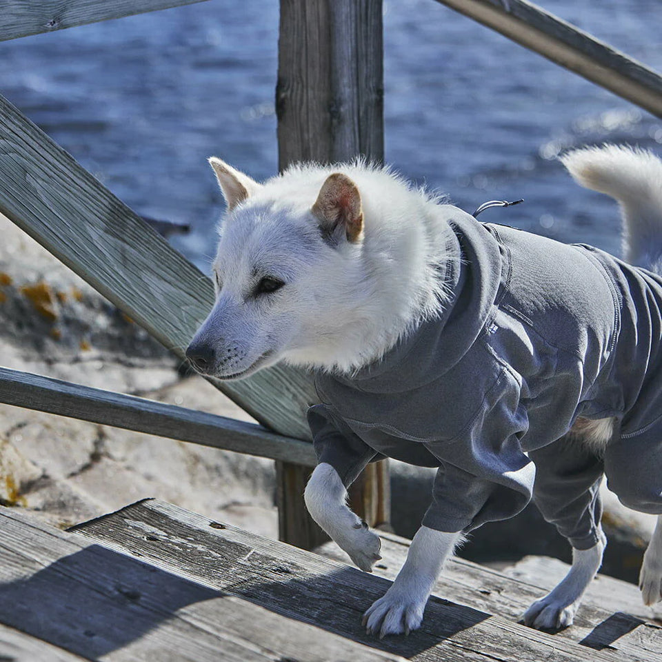 HURTTA MIDLAYER OVERAL– Melegítő Kutya Overál

Melegen tart és védi kutyádat a hűvösebb napokon.
Tökéletes, sokoldalú és strapabíró overál, amit érdemes kéznél tartani egészen addig, amíg vissza nem tér a melegebb idő