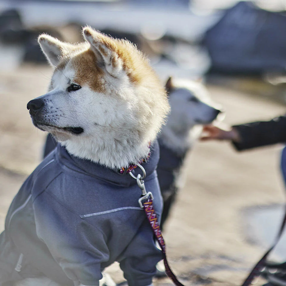 HURTTA MIDLAYER OVERAL– Melegítő Kutya Overál

Melegen tart és védi kutyádat a hűvösebb napokon.
Tökéletes, sokoldalú és strapabíró overál, amit érdemes kéznél tartani egészen addig, amíg vissza nem tér a melegebb idő