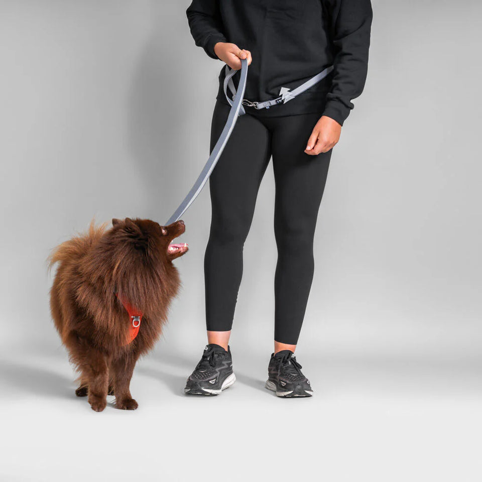 Hurtta Multilong Leash 2- Állítható méretű kutyapóráz - Urban fauna
