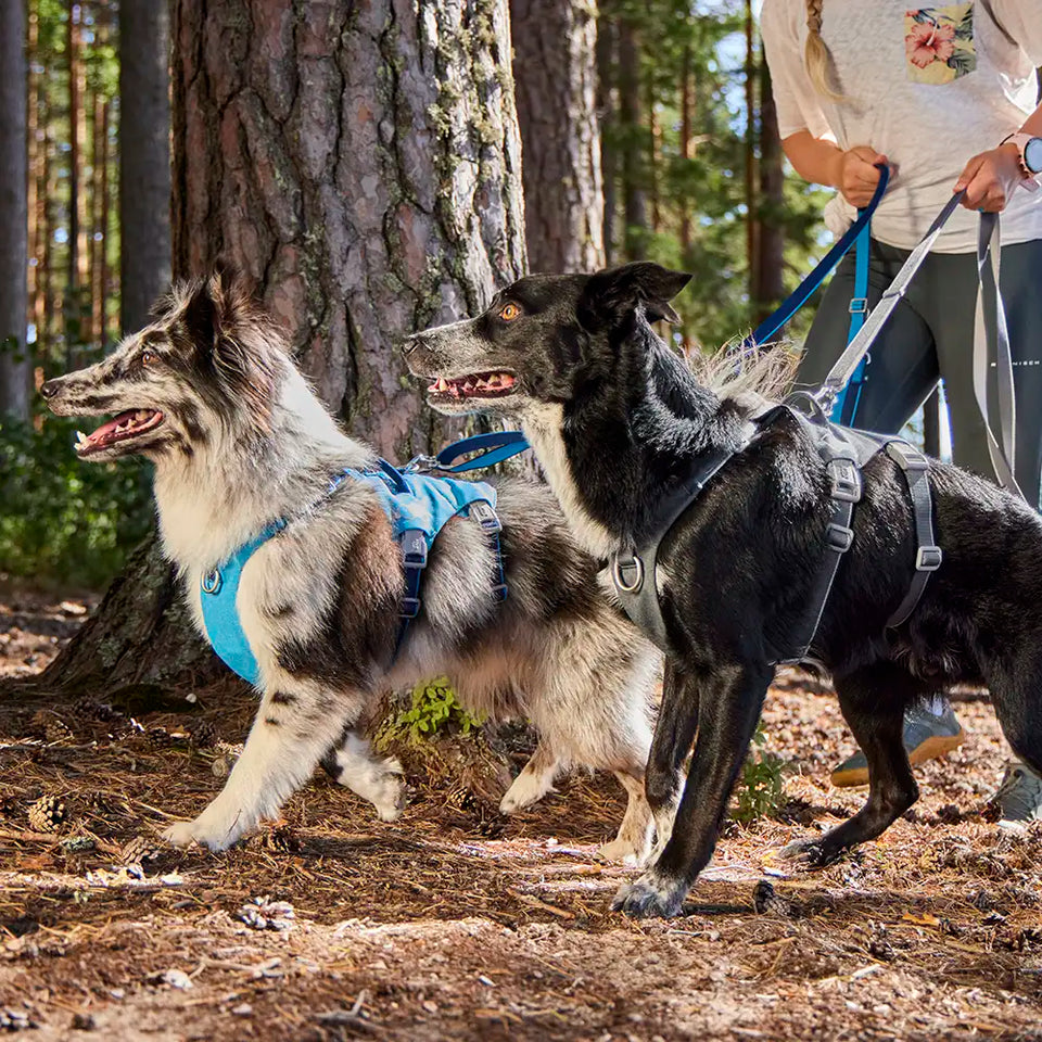 Hurtta Multilong Leash 2 - Állítható méretű kutyapóráz - Urban fauna
