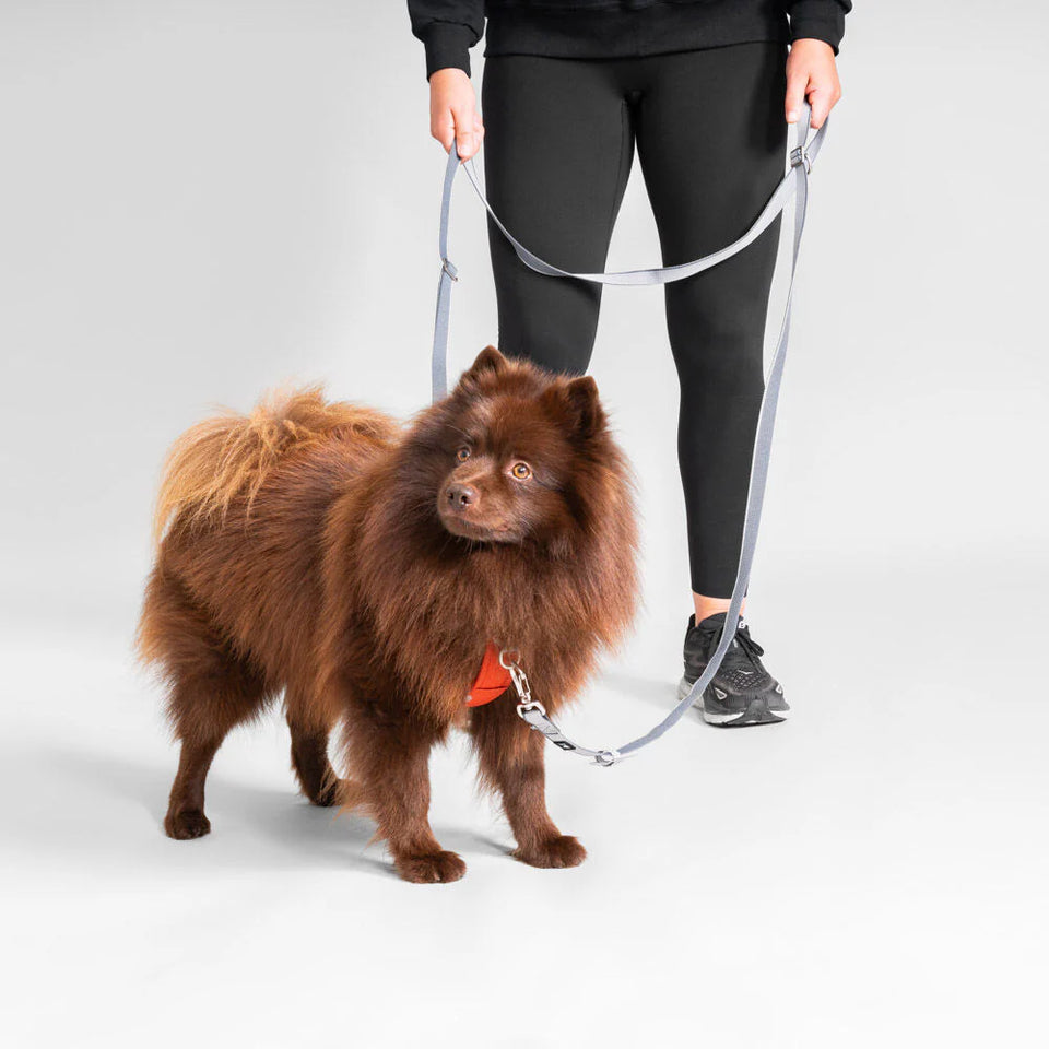 Hurtta Multilong Leash 2- Állítható méretű kutyapóráz - Urban fauna