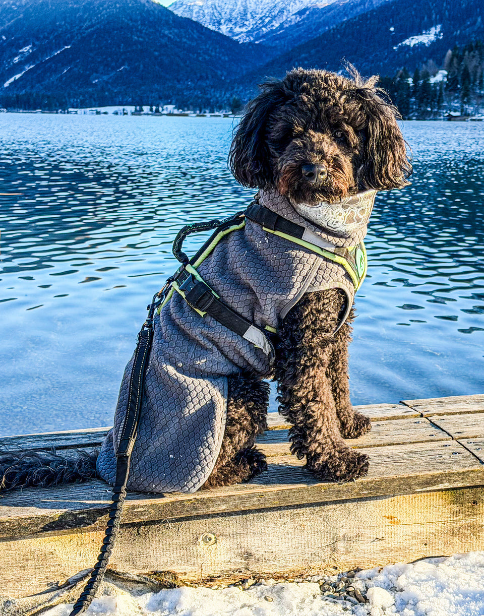 Hurtta Warming Midlayer ECO I kutyakabát