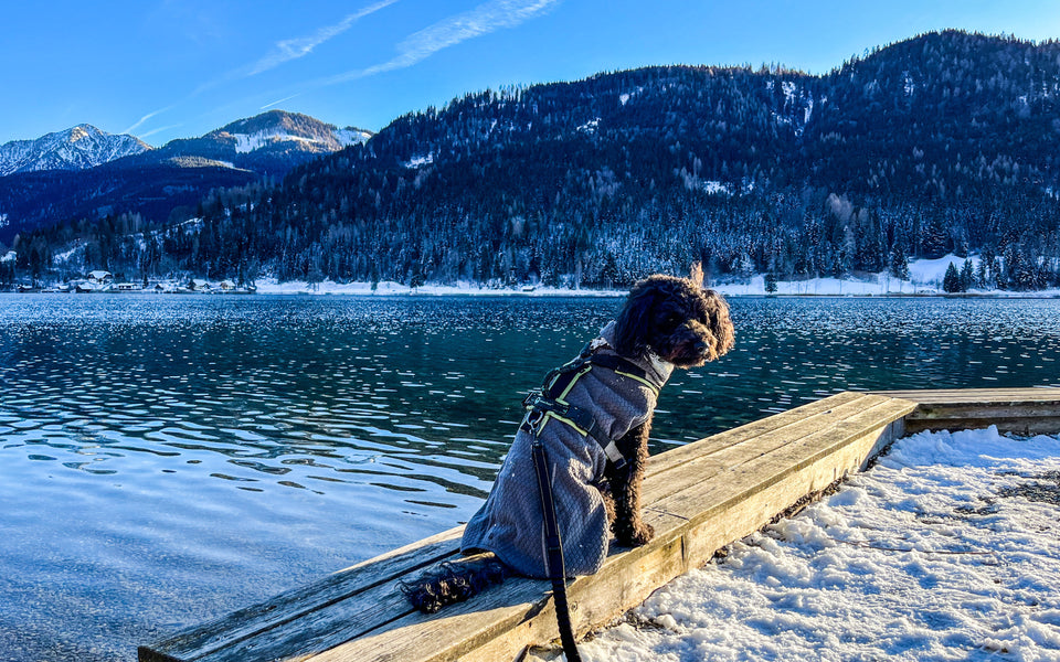 Hurtta Warming Midlayer ECO I kutyakabát