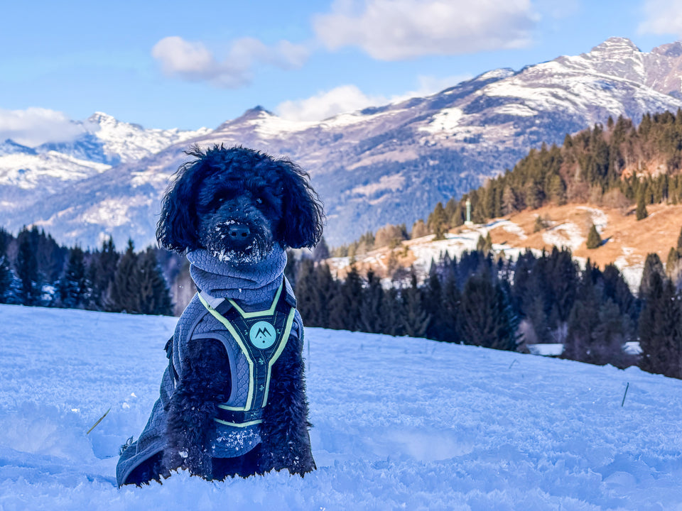 Hurtta Warming Midlayer ECO I kutyakabát