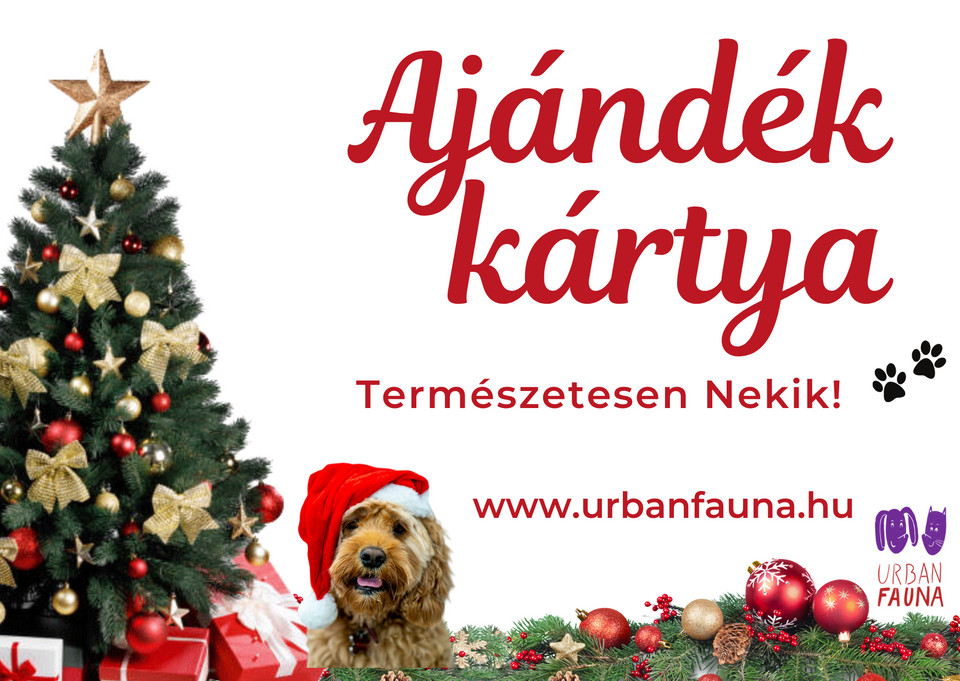 Karácsonyi ajándékkártya - Urban Fauna