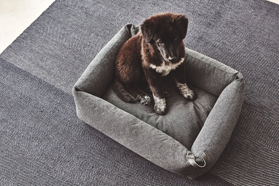 MiaCara STELLA BOX ∣ kutyafekhely-fekhely-Urban Fauna