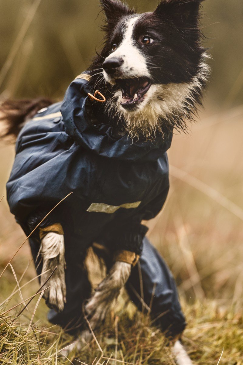 HURTTA SLUSH COMBAT SUIT ∣ kutyaoverál esős, saras időre-ruházat-Urban Fauna
