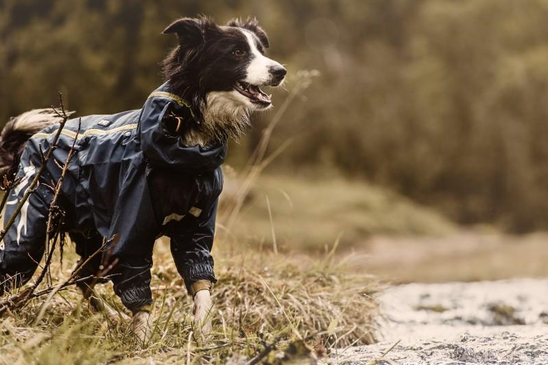 HURTTA SLUSH COMBAT SUIT ∣ kutyaoverál esős, saras időre-ruházat-Urban Fauna
