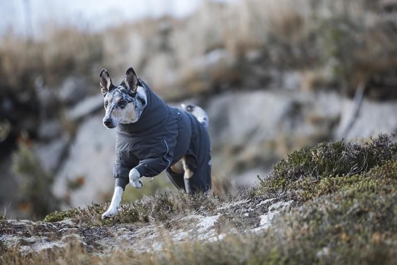 HURTTA EXTREME OVERALL ∣ kutyaoverál-ruházat-Urban Fauna