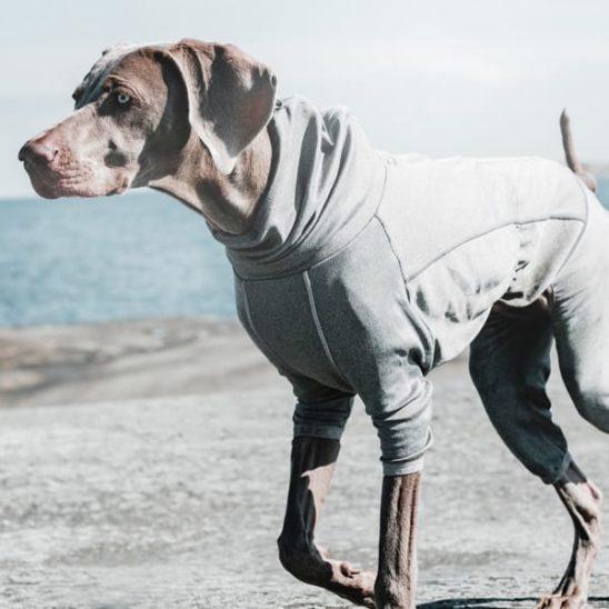 HURTTA BODY WARMER ∣ melegítő kutyaoverál-ruházat-Urban Fauna