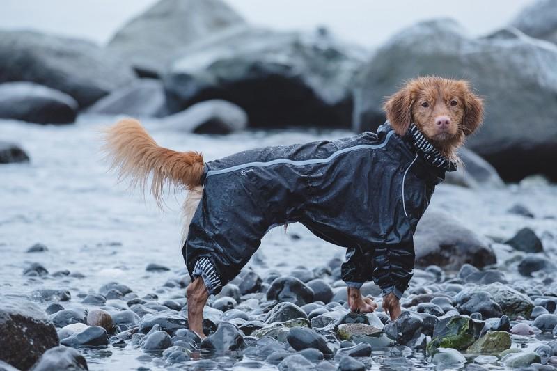 HURTTA DOWNPOUR SUIT ∣ kutya esőkabát-ruházat-Urban Fauna