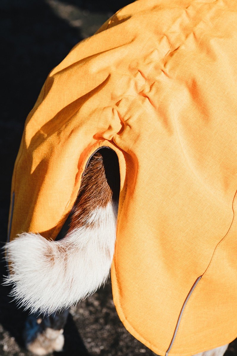 HURTTA EXPEDITION PARKA ∣ kutyakabát-ruházat-Urban Fauna