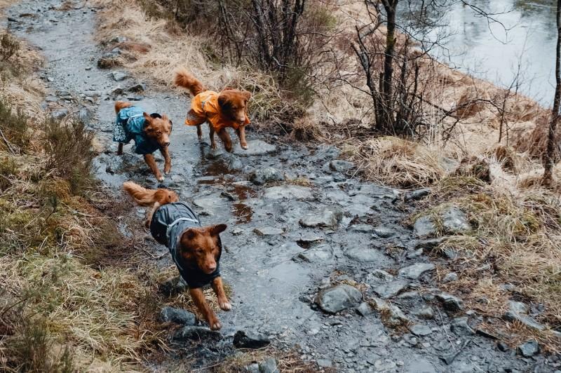 HURTTA MONSOON ∣ kutyakabát esős, saras időre-ruházat-Urban Fauna