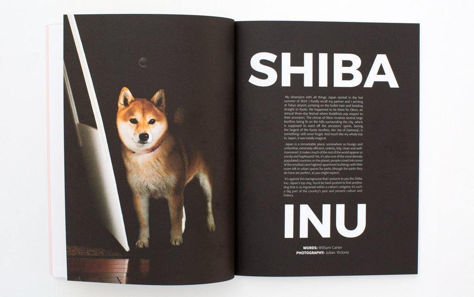 DOG magazin ∣ 2 ∣ Shiba Inu-könyv ∣ magazin-Urban Fauna