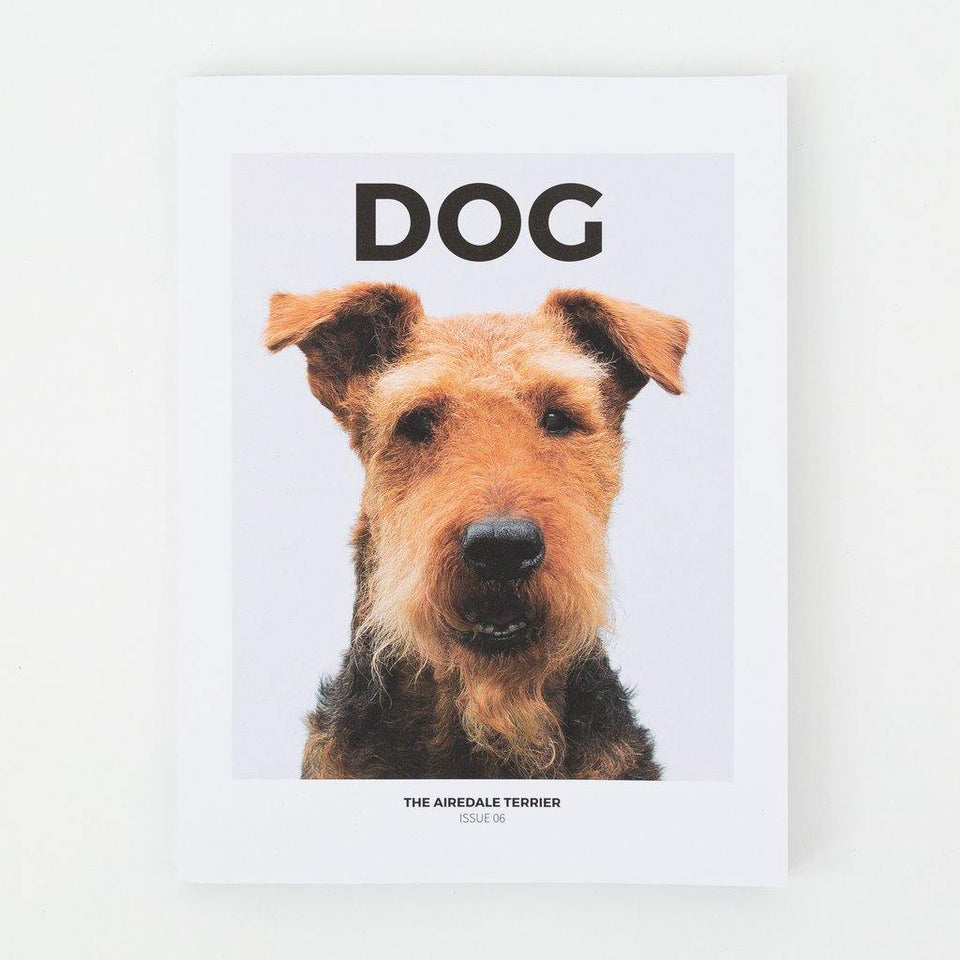 DOG magazin ∣ 6 ∣ Airedale Terrier-könyv ∣ magazin-Urban Fauna